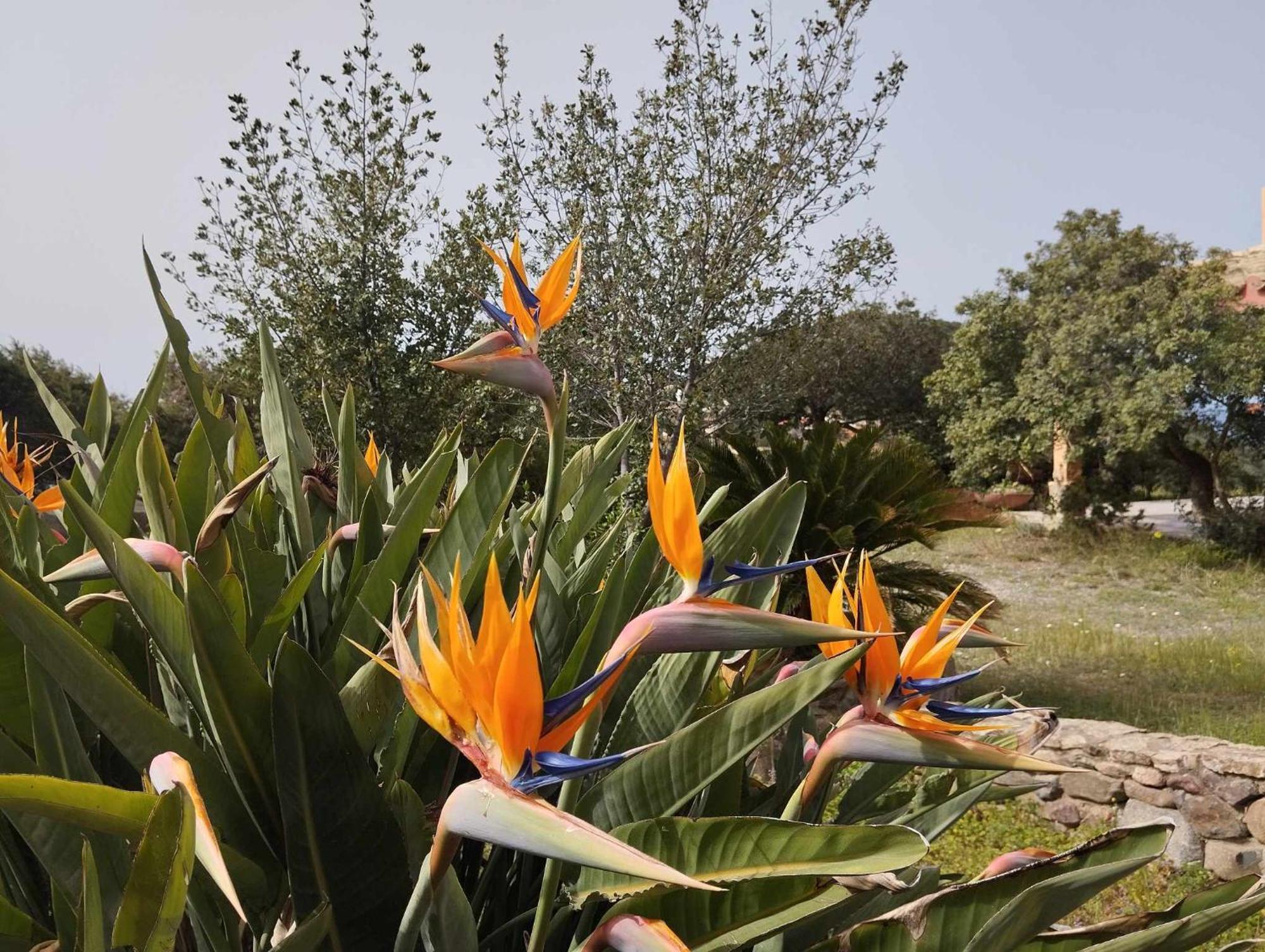 Holiday Home Riccio Di Mare Sardinia Marongiu Eksteriør bilde